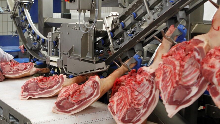 food industry cleaning,industrial cleaning services,HACCP cleaning specialists,hygiene inspections