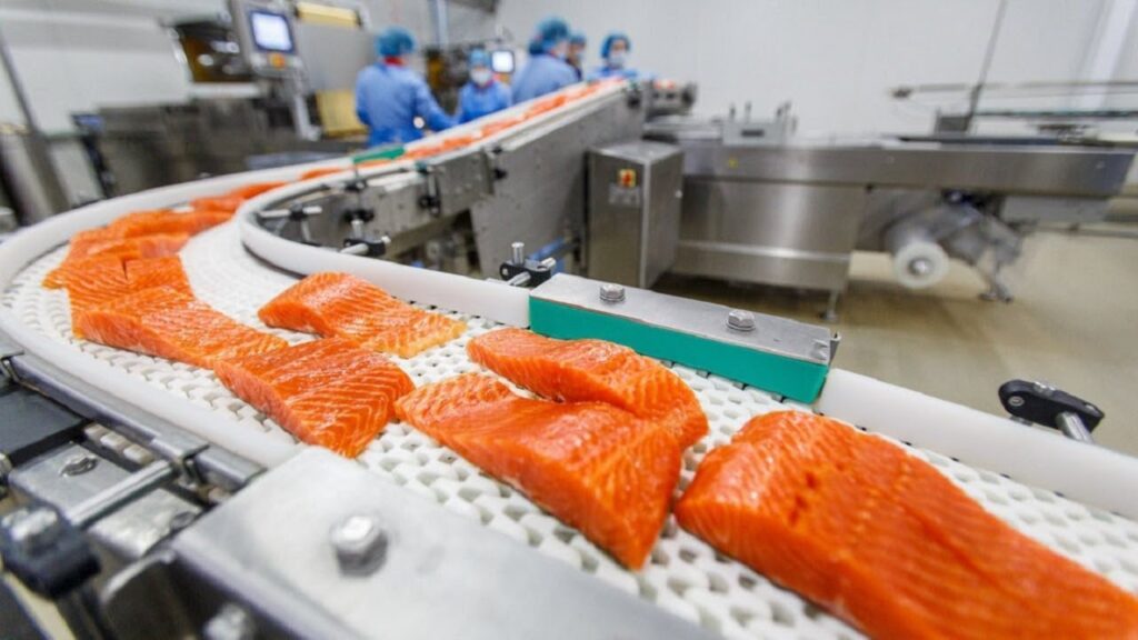 food industry cleaning,industrial cleaning services,HACCP cleaning specialists,hygiene inspections