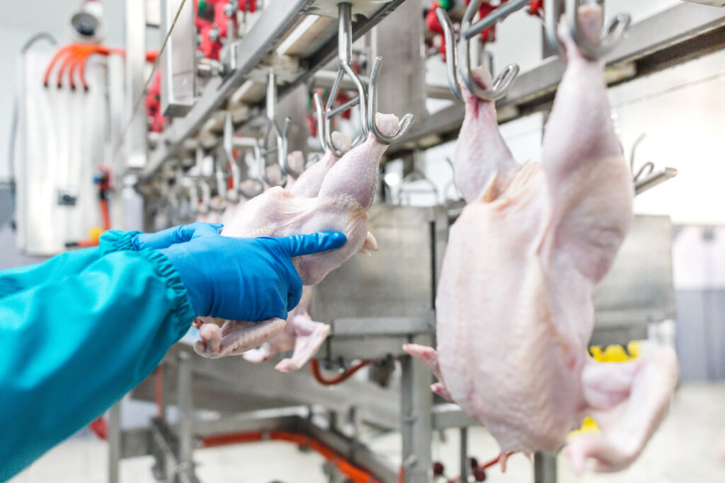 food industry cleaning,industrial cleaning services,HACCP cleaning specialists,hygiene inspections