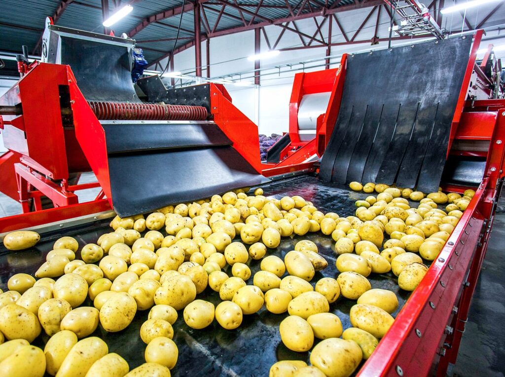 food industry cleaning,industrial cleaning services,HACCP cleaning specialists,hygiene inspections